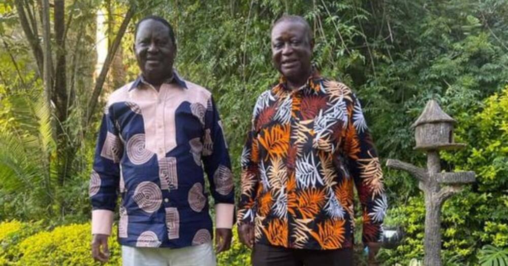 Oburu Odinga with his younger brother Raila Odinga.