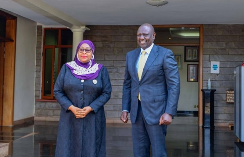Netizens Wonder Why Tanzania's President Suluhu Frowned During Meeting With Ruto In US